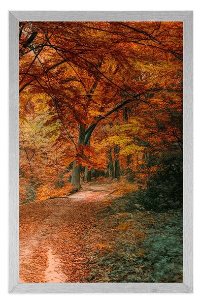 Plakat prekrasna šuma u jesenje doba