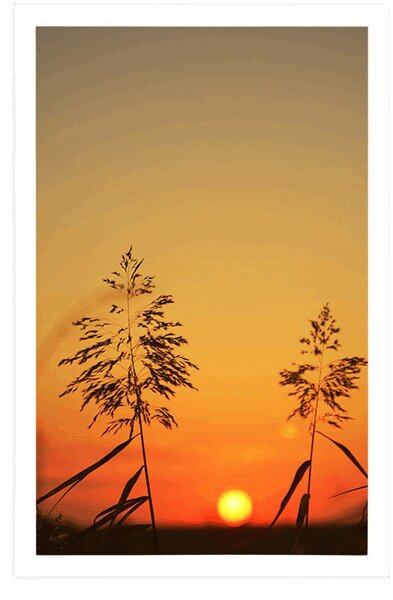 Plakat vlati trave pri zalasku sunca