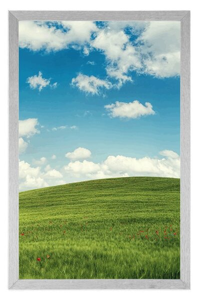 Plakat prekrasni dan na livadi