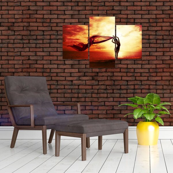 Slika - Silhueta ženske ob sončnem zahodu (90x60 cm)
