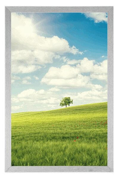 Plakat prekrasni sunčani dan na livadi