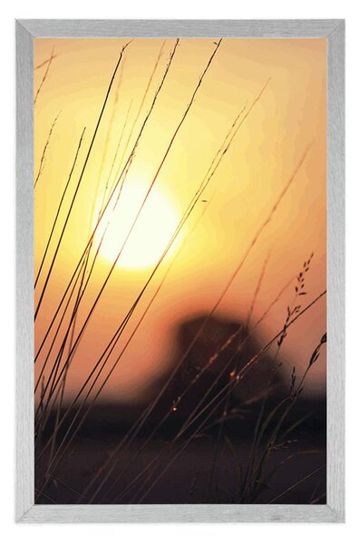 Plakat izlazak sunca iznad livade