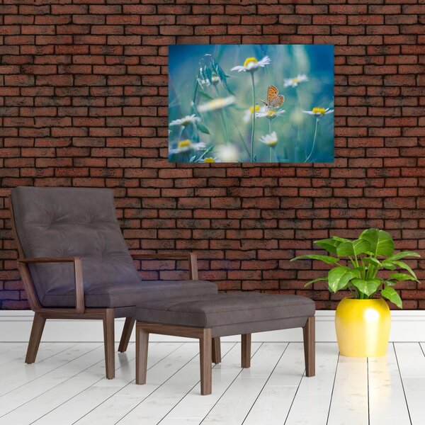 Slika - Metulj na marjetici (70x50 cm)