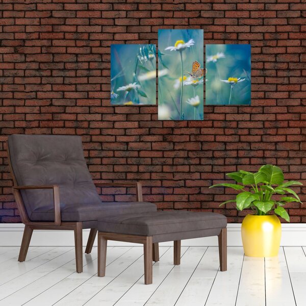 Slika - Metulj na marjetici (90x60 cm)