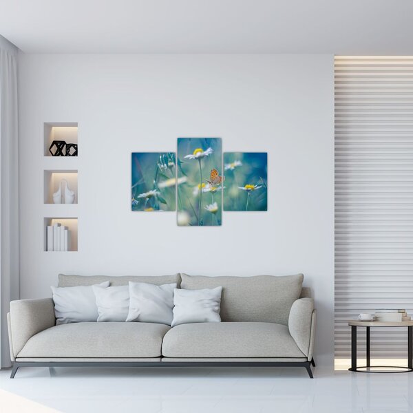 Slika - Metulj na marjetici (90x60 cm)