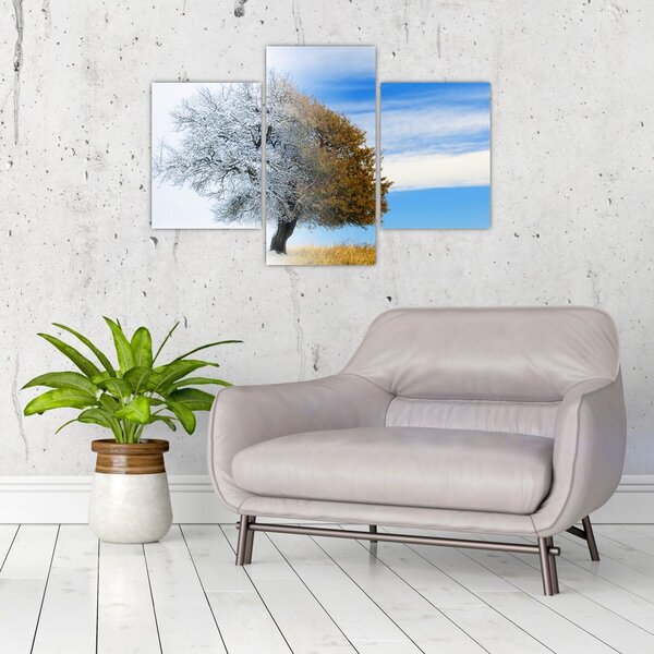 Slika - Sprememba sezone (90x60 cm)
