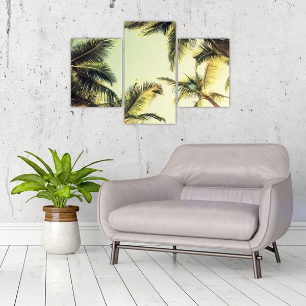 Slika s kokosovimi palmami (90x60 cm)
