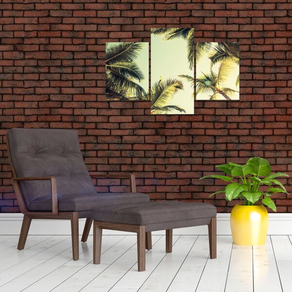 Slika s kokosovimi palmami (90x60 cm)