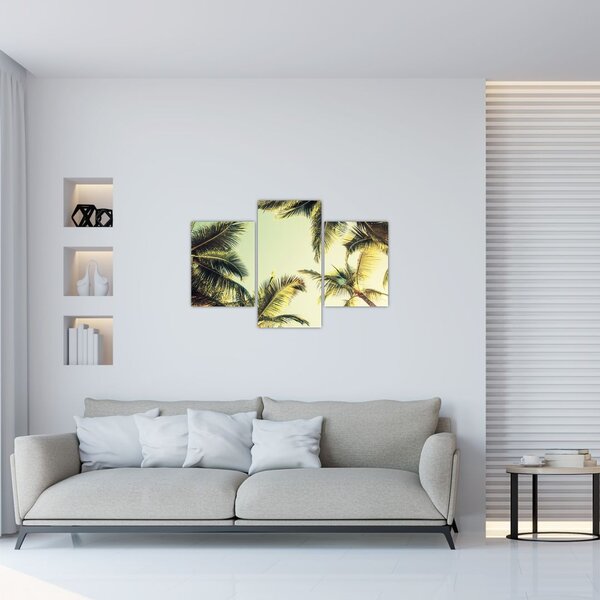 Slika s kokosovimi palmami (90x60 cm)