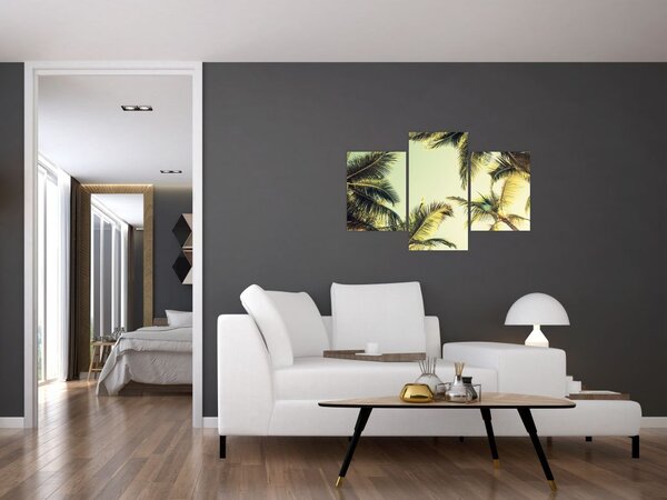 Slika s kokosovimi palmami (90x60 cm)