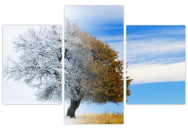 Slika - Sprememba sezone (90x60 cm)