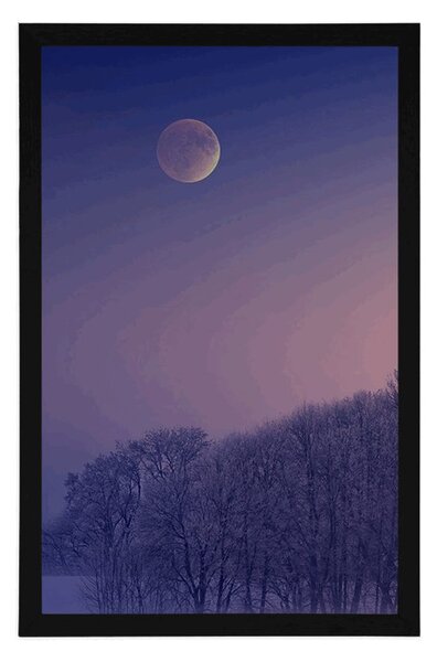 Plakat puni mjesec iznad sela