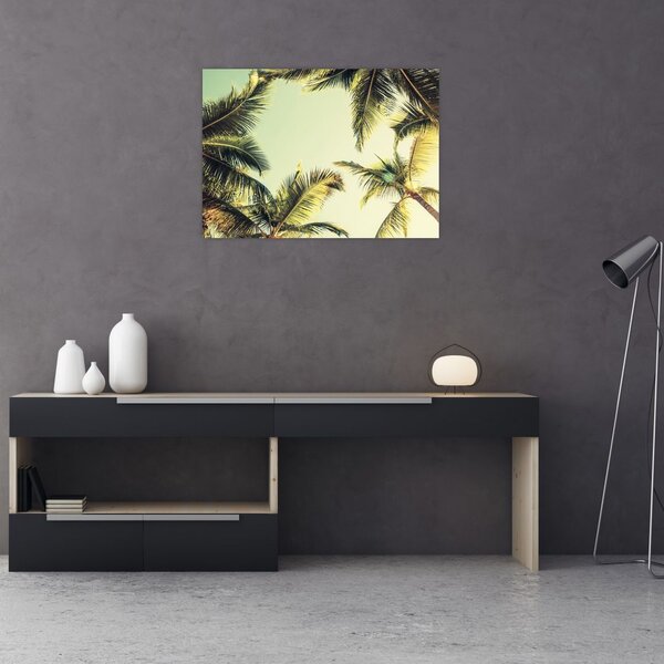 Slika s kokosovimi palmami (70x50 cm)