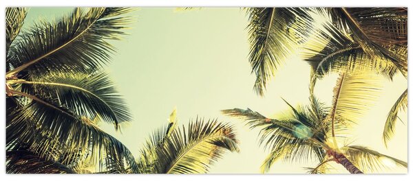 Slika s kokosovimi palmami (120x50 cm)