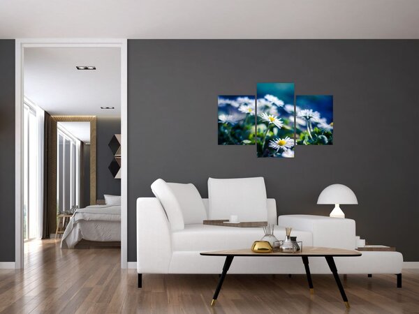 Slika marjetic (90x60 cm)
