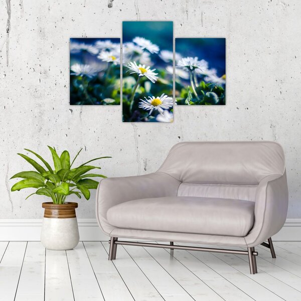 Slika marjetic (90x60 cm)
