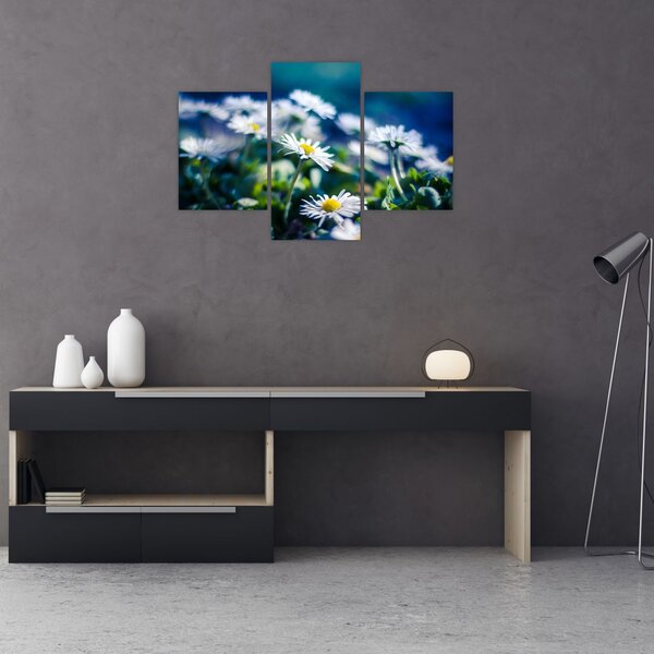 Slika marjetic (90x60 cm)