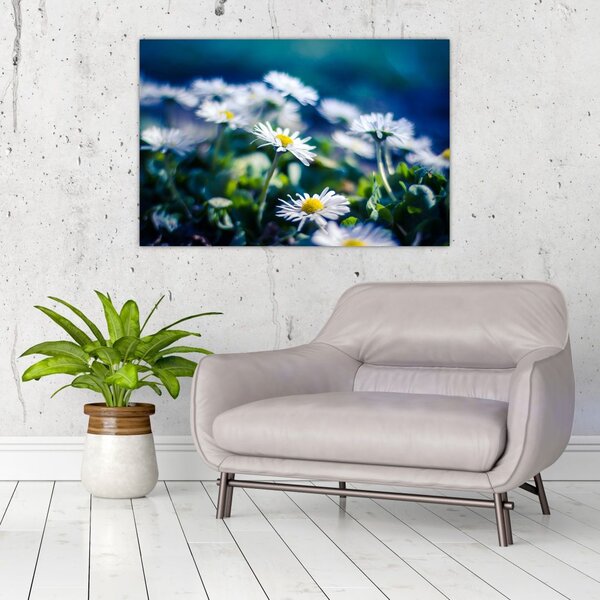 Slika marjetic (90x60 cm)