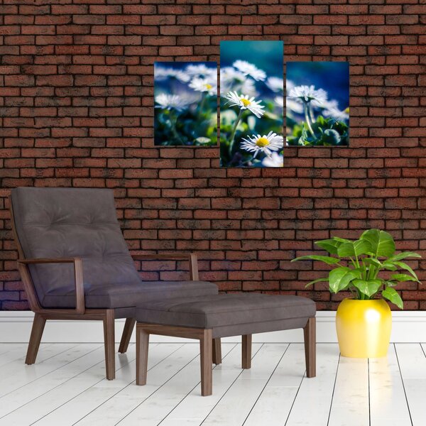 Slika marjetic (90x60 cm)