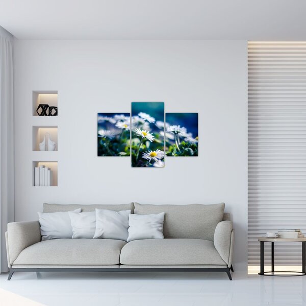 Slika marjetic (90x60 cm)