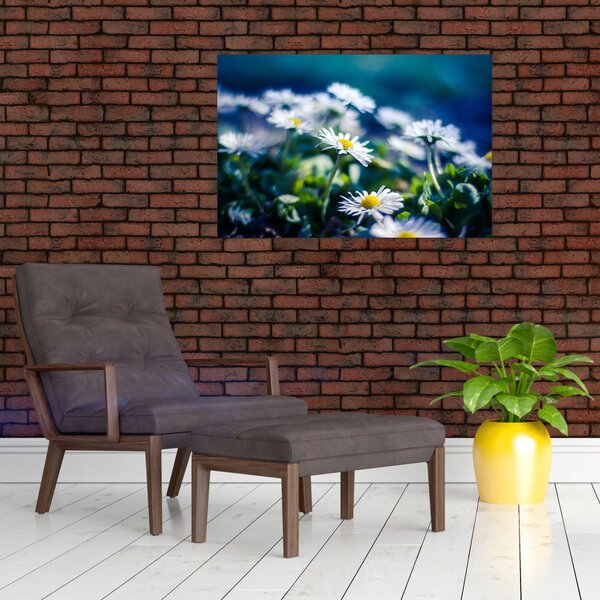 Slika marjetic (90x60 cm)