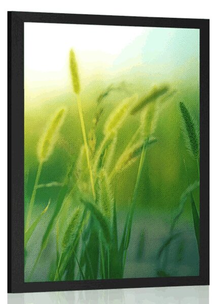 Plakat vlati trave