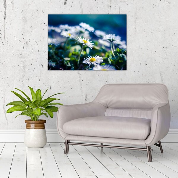 Slika marjetic (70x50 cm)