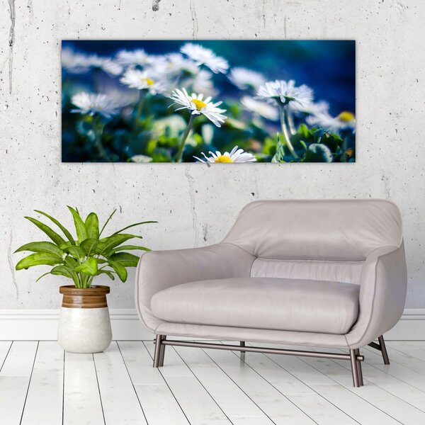 Slika marjetic (120x50 cm)