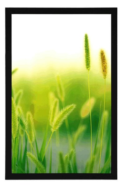 Plakat vlati trave u zelenom dizajnu