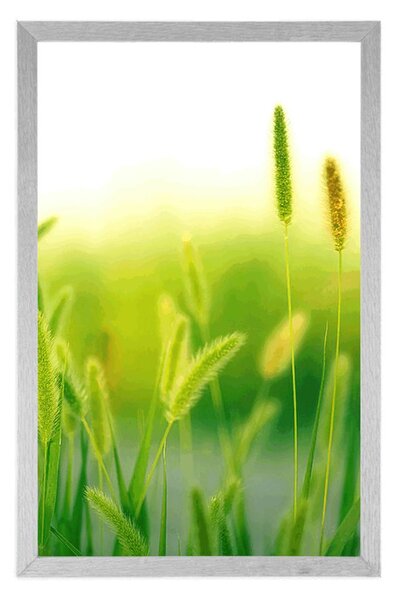 Plakat vlati trave u zelenom dizajnu