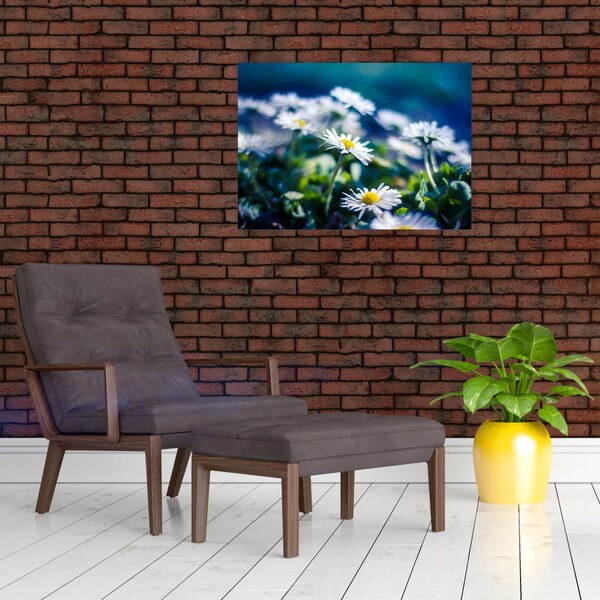 Slika marjetic (70x50 cm)