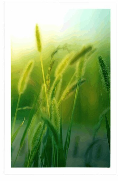 Plakat vlati trave