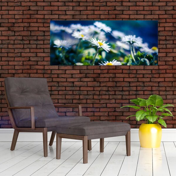 Slika marjetic (120x50 cm)