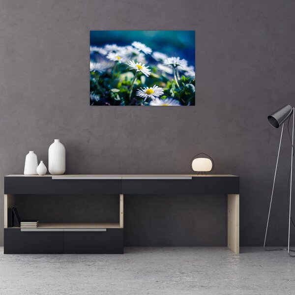 Slika marjetic (70x50 cm)