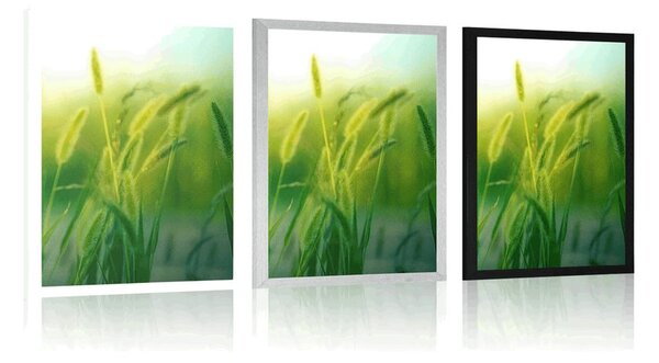Plakat vlati trave