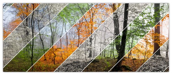 Slika - Menjava letnih časov (120x50 cm)