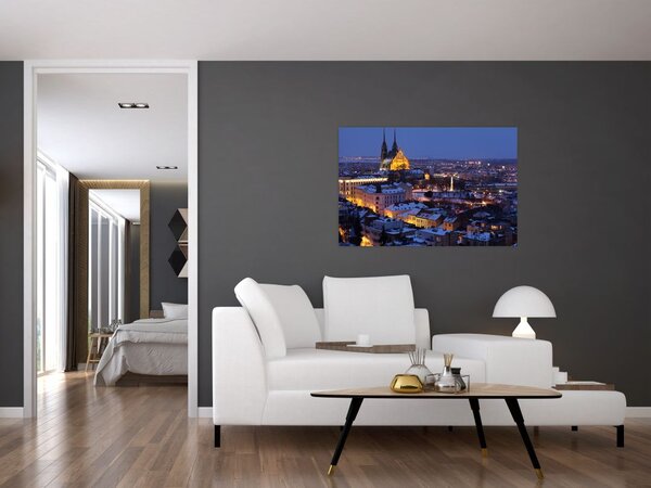 Slika - Katedrala sv. Petra in Pavla, Brno, Češka (90x60 cm)