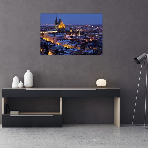 Slika - Katedrala sv. Petra in Pavla, Brno, Češka (90x60 cm)