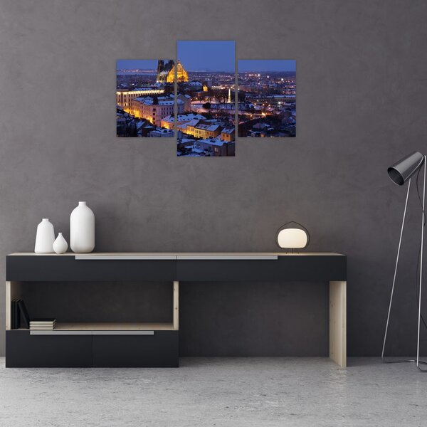 Slika - Katedrala sv. Petra in Pavla, Brno, Češka (90x60 cm)