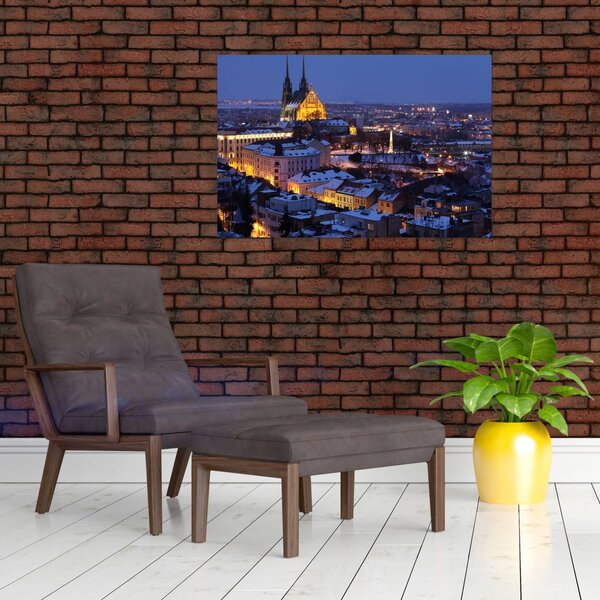 Slika - Katedrala sv. Petra in Pavla, Brno, Češka (90x60 cm)