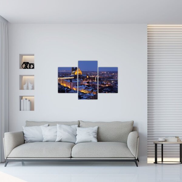 Slika - Katedrala sv. Petra in Pavla, Brno, Češka (90x60 cm)