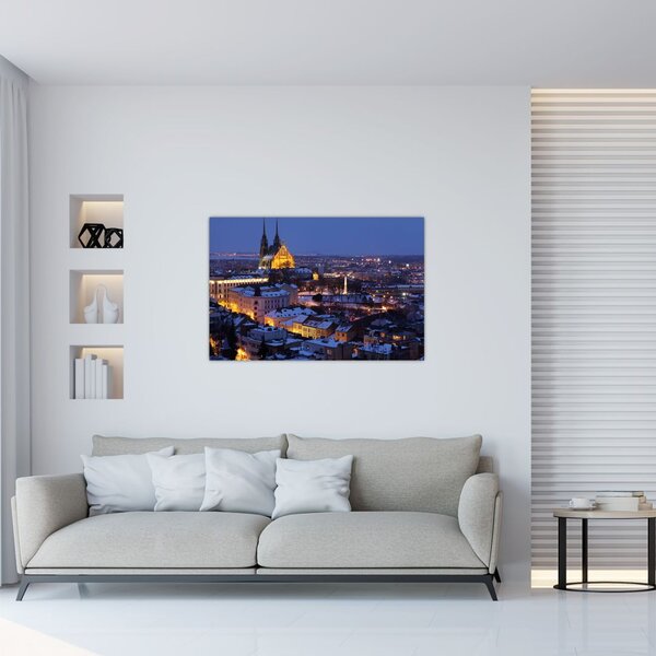 Slika - Katedrala sv. Petra in Pavla, Brno, Češka (90x60 cm)