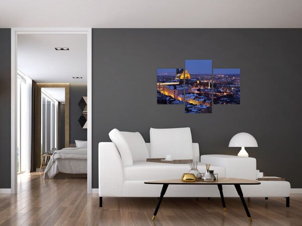 Slika - Katedrala sv. Petra in Pavla, Brno, Češka (90x60 cm)