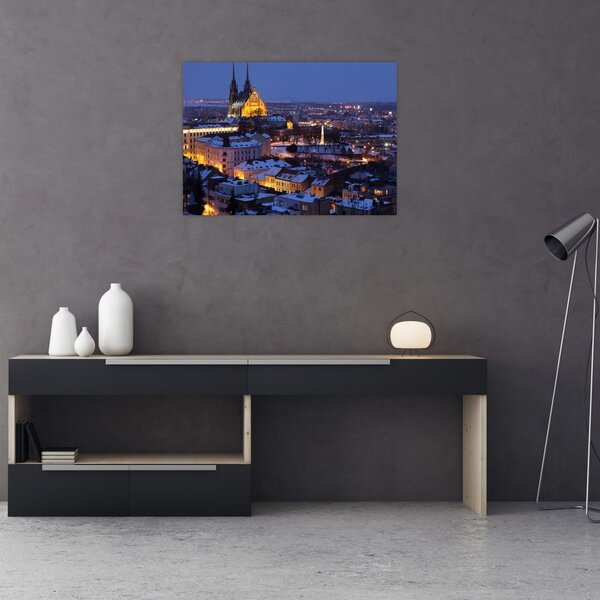 Slika - Katedrala sv. Petra in Pavla, Brno, Češka (70x50 cm)