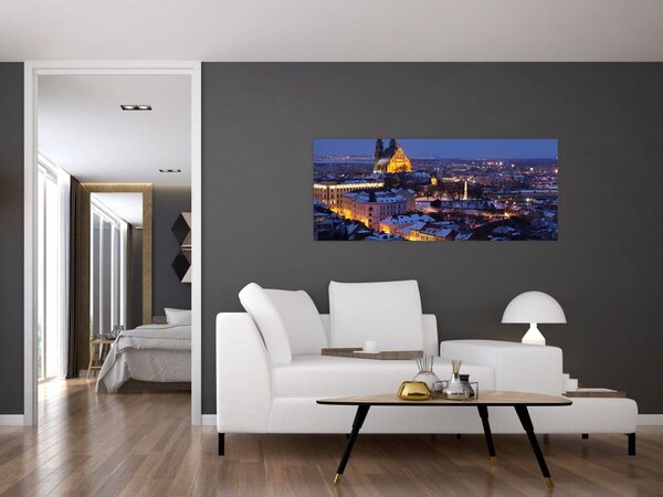 Slika - Katedrala sv. Petra in Pavla, Brno, Češka (120x50 cm)