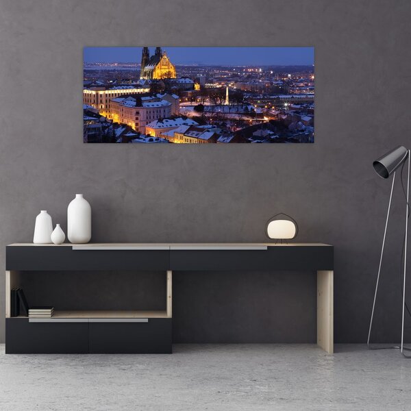 Slika - Katedrala sv. Petra in Pavla, Brno, Češka (120x50 cm)