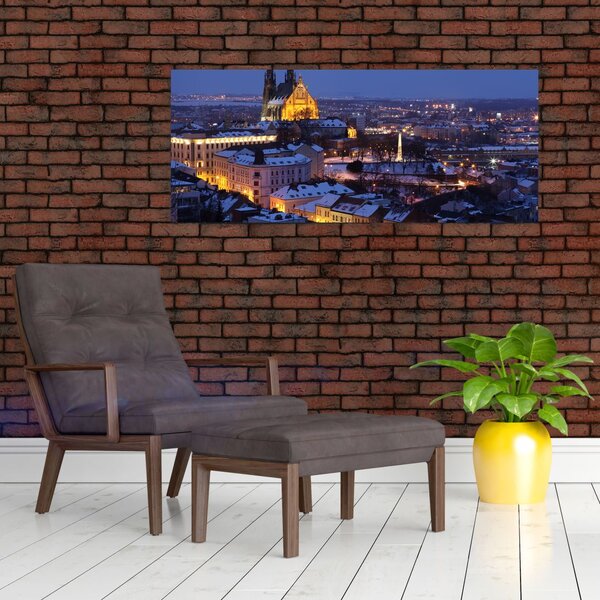 Slika - Katedrala sv. Petra in Pavla, Brno, Češka (120x50 cm)