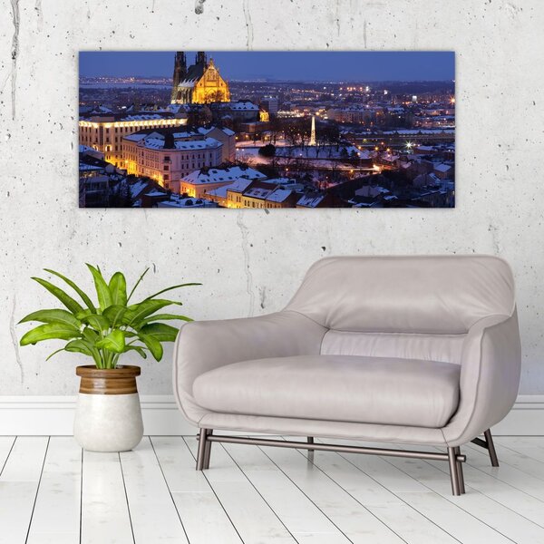 Slika - Katedrala sv. Petra in Pavla, Brno, Češka (120x50 cm)