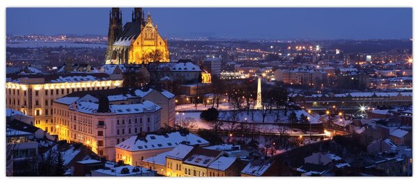 Slika - Katedrala sv. Petra in Pavla, Brno, Češka (120x50 cm)