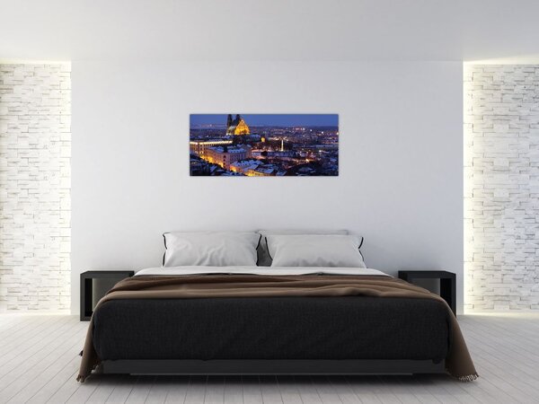 Slika - Katedrala sv. Petra in Pavla, Brno, Češka (120x50 cm)